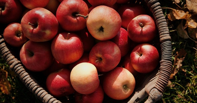 Ako želite zdravu i normalnu probavu, trebali biste često jesti ove vrste voća