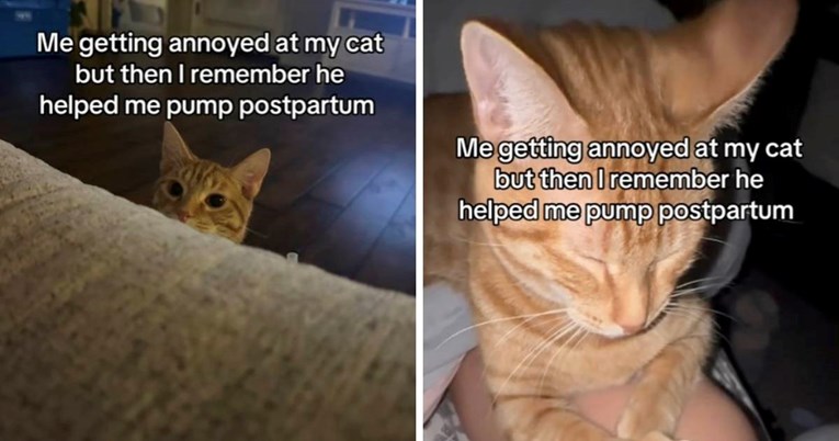 Mačak koji pomaže vlasnici nakon poroda oduševio je milijune