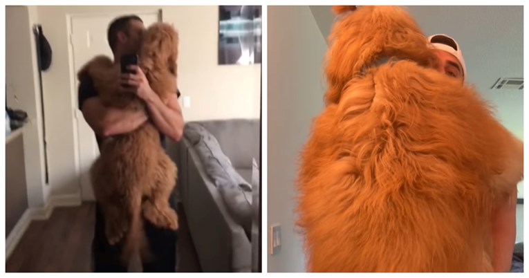 "Veterinar je rekao da neće jako narasti": Ogromni mazni pas oduševio društvene mreže
