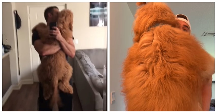 "Veterinar je rekao da neće jako narasti": Ogromni mazni pas oduševio društvene mreže