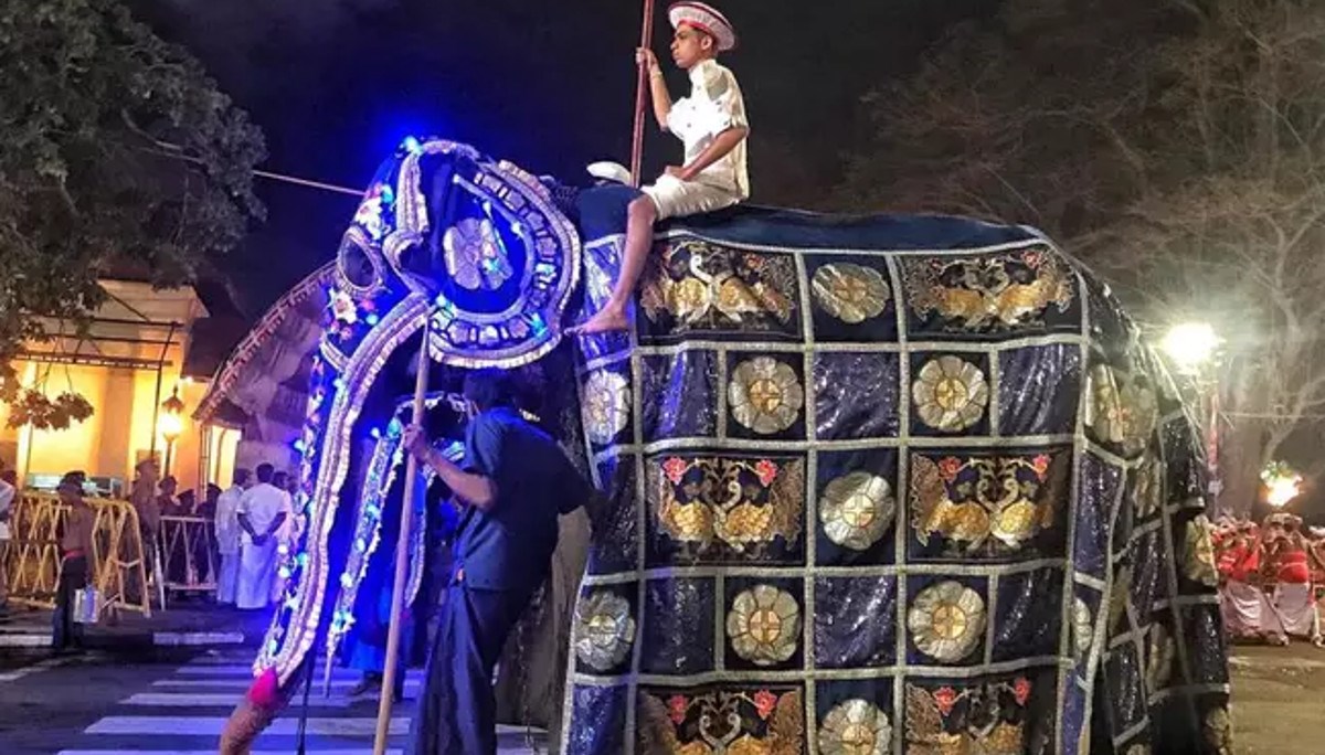 Mršavu slonicu tjeraju da paradira na festivalu, njezin izgled rastužuje