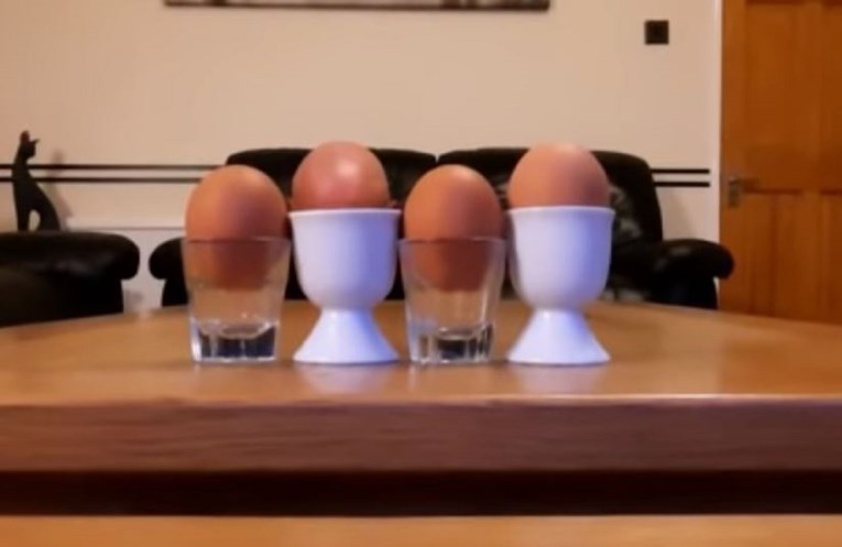 Presmiješno: Postavio jaja na stol, a zatim se dogodilo nešto što nitko nije očekivao
