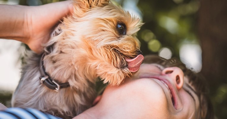 Veterinarka otkrila zašto je psima slomljeno srce kad im ne dopustimo da nas poljube