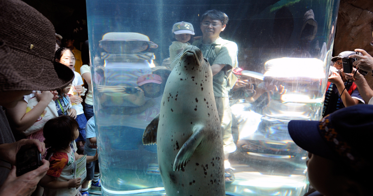 Zaposlenik tvrdi da je bacio tijelo supruge u spalionicu u japanskom ZOO-u
