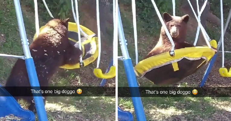 VIDEO Postavila kameru u dvorištu pa snimila medvjeda kako uživa na ljuljački