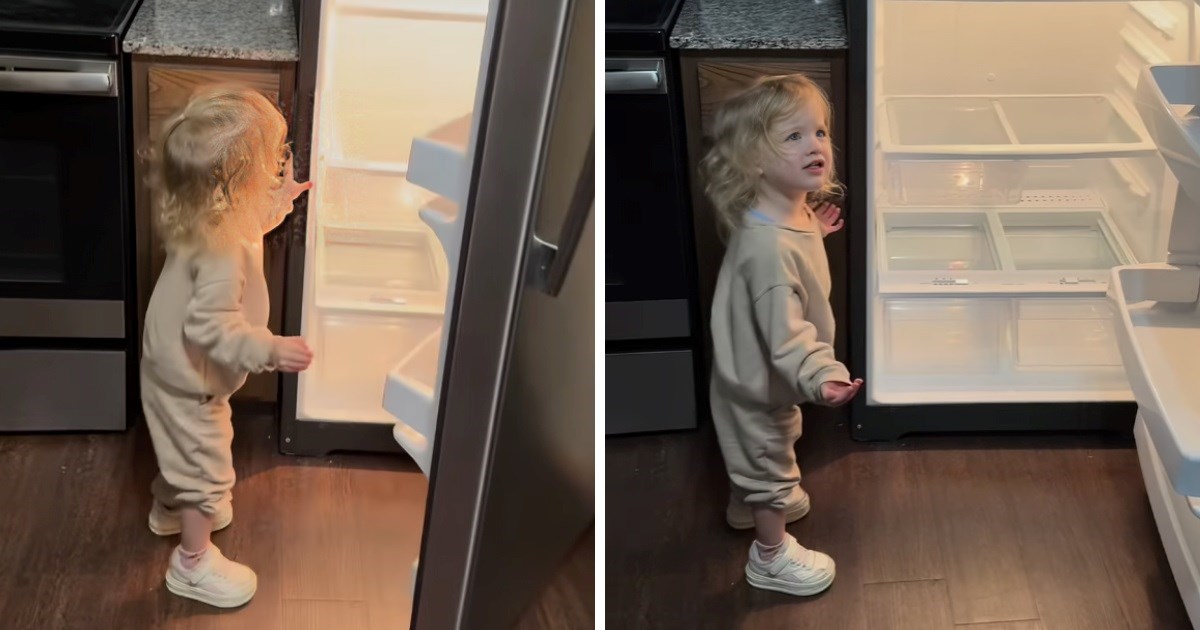 Curica otvorila hladnjak i vidjela da nema ništa za jesti, nasmijat će vas reakcijom