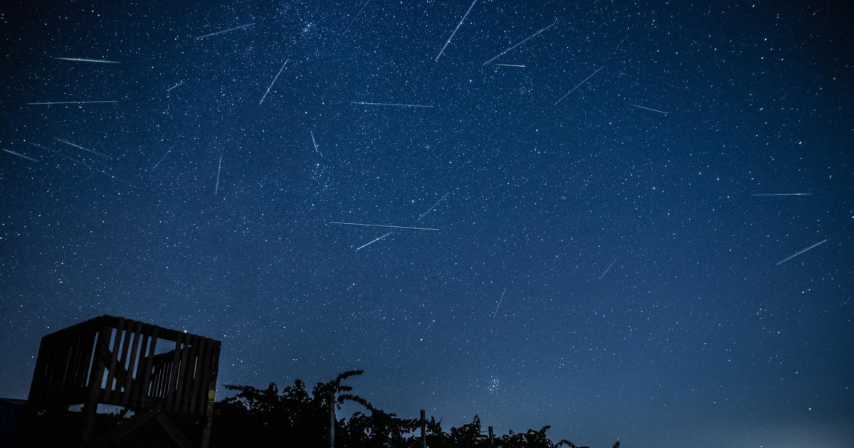 Ovog su vikenda suze svetog Lovre bile najvidljivije. Prizori su prekrasni