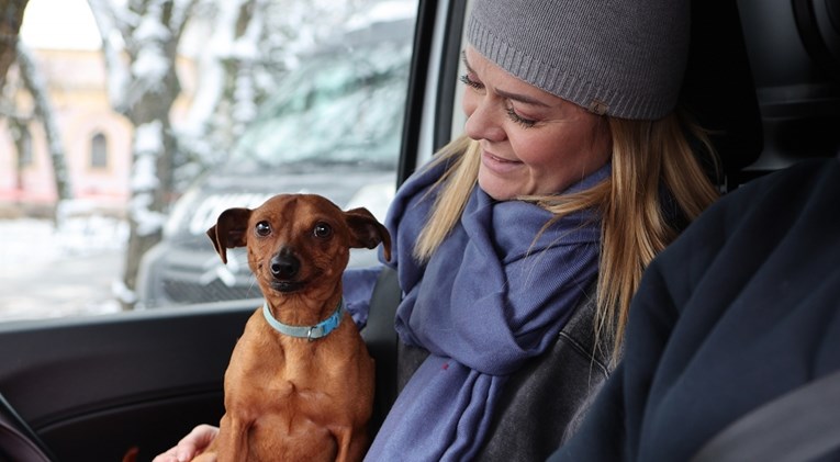 Pas Kiki koji je zbog potresa bio smješten u Dumovcu vraća se svojim vlasnicima
