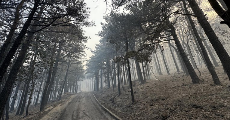 Hrvatske šume: S ciljem prevencije požara rasporedili smo 220 kamera na 110 lokacija