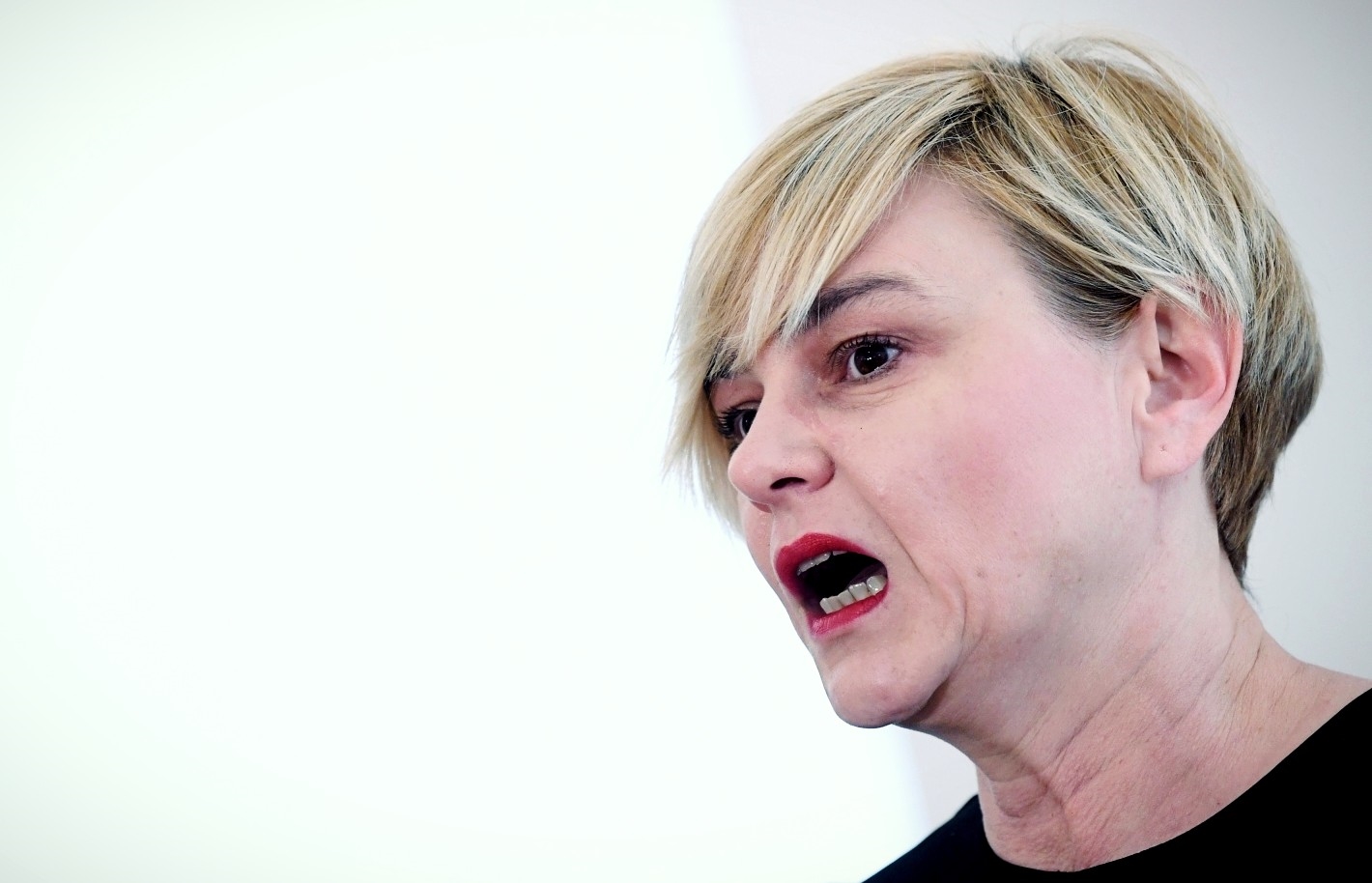 Benčić: Domovinski pokret je kopirao metodu Aleksandra Vučića