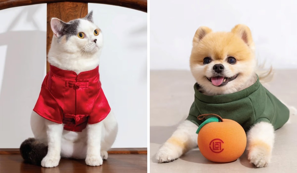 CLOT lansirao kolekciju odjeće za kućne ljubimce
