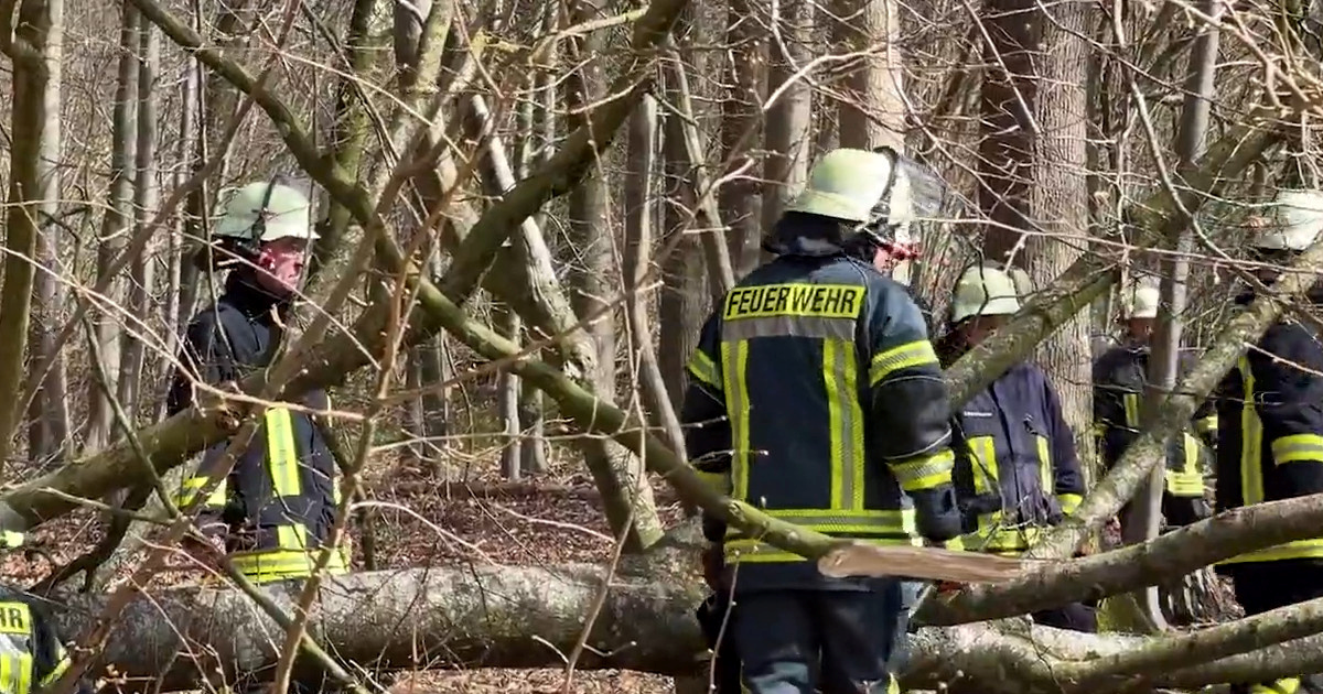 Troje u Njemačkoj poginulo tijekom traženja pisanica u šumi. Među njima majka i beba