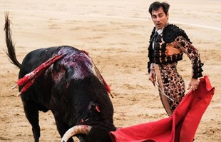 Španjolska: Poziv djeci na besplatne borbe s bikovima otvorio prijepore