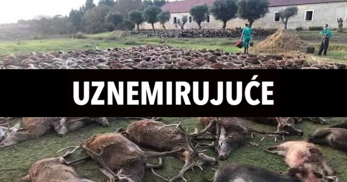 Portugalci zgroženi masovnim pokoljem divljih životinja