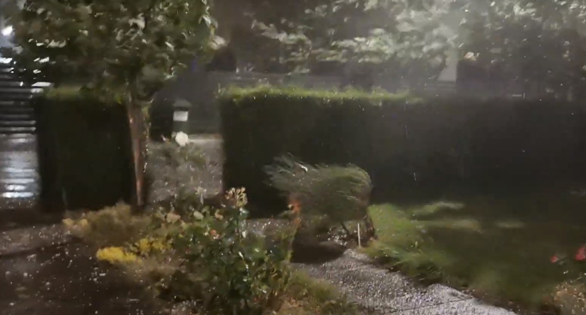 VIDEO Veliko nevrijeme u Zagorju. Jak vjetar lomio stabla, padala tuča