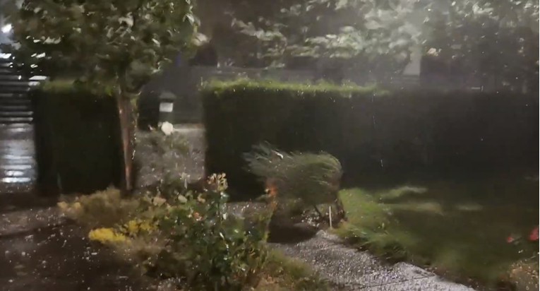 VIDEO Veliko nevrijeme u Zagorju. Jak vjetar lomio stabla, padala tuča