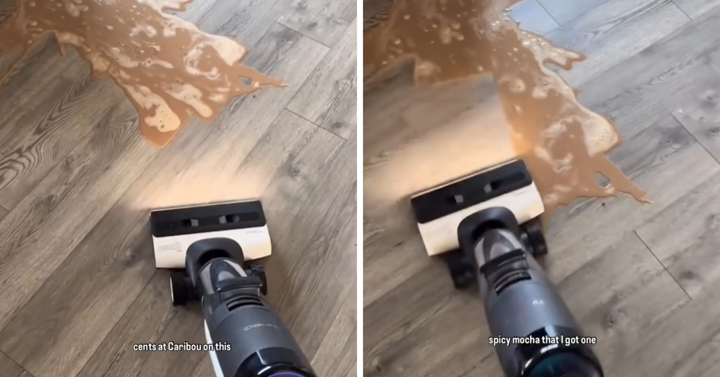 "Vrijedi svakog centa": Jedan mokro-suhi usisavač postao je hit na TikToku