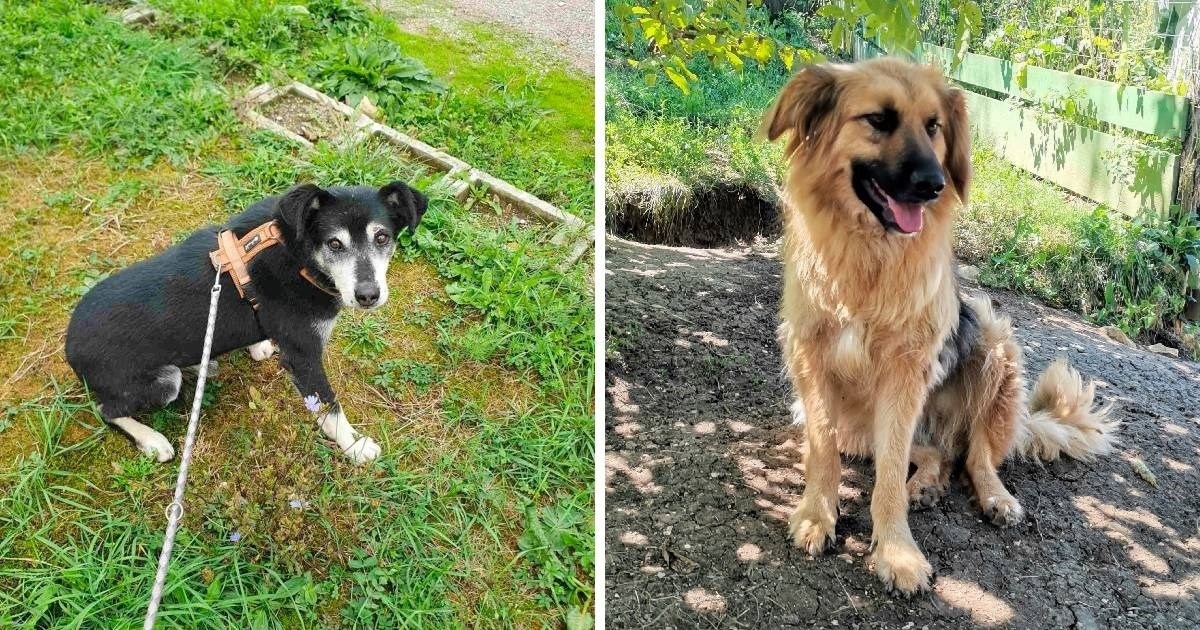 Billy i Georgia nestali su prije pola godine. Jeste li ih vidjeli?