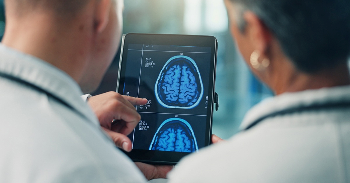 Njemački neuroznanstvenik otkrio kako mozak organizira znanje