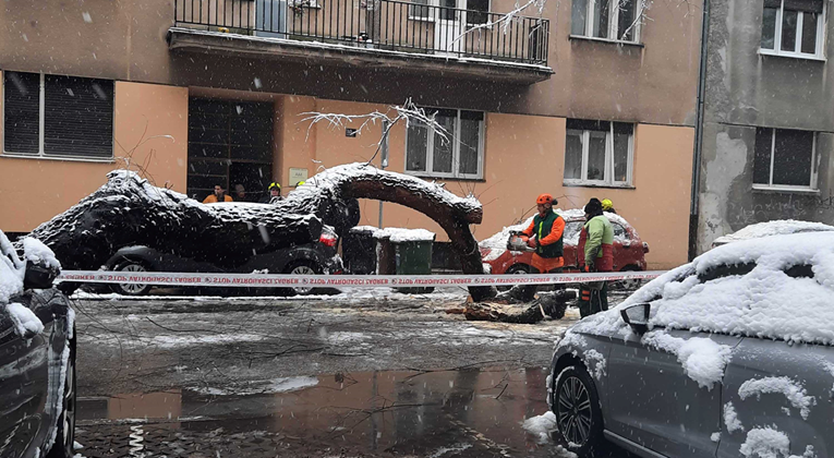 FOTO I VIDEO U Zagrebu stablo palo na parkirani auto, ulica zatvorena za promet