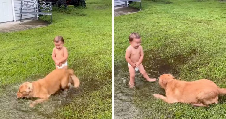 "Uspomena za cijeli život": Pas i dijete osvojili internet igrom u lokvi