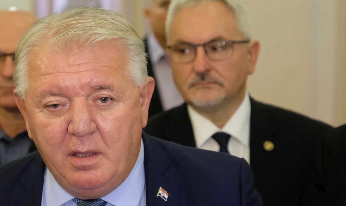 Raskol u HVIDRA-i: Vinkovački ogranak ih napušta, napali Đakića