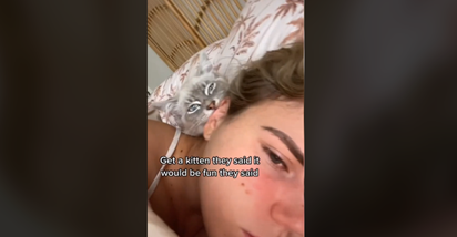 Ovaj mačak voli gristi uho vlasnici, video postao viralan na TikToku