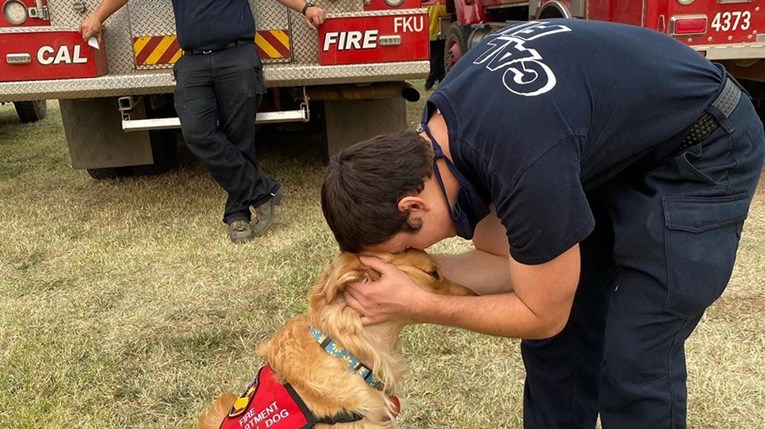Ovaj pas pomaže vatrogascima da prebrode teške trenutke na terenu