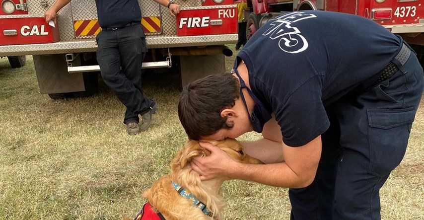 Ovaj pas pomaže vatrogascima da prebrode teške trenutke na terenu