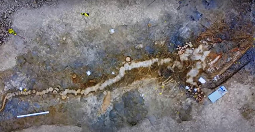 U Engleskoj otkriven ogroman fosil "morskog zmaja", lubanja mu teži jednu tonu