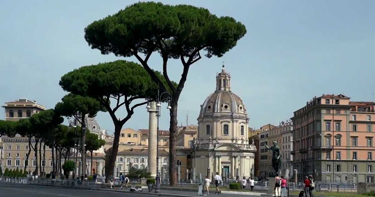 U Rimu sijeku stare borove duž avenije do Koloseja