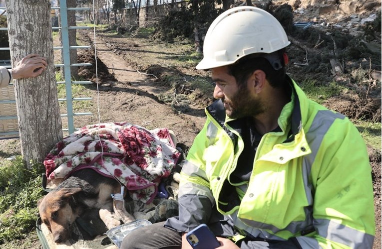 Lijepe vijesti iz Turske: Pas nakon 55 sati izvučen iz ruševina, nije ozlijeđen