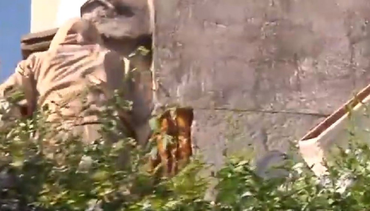 Par zbog buke nije mogao spavati mjesecima, šokiralo ih ono što su našli u zidu