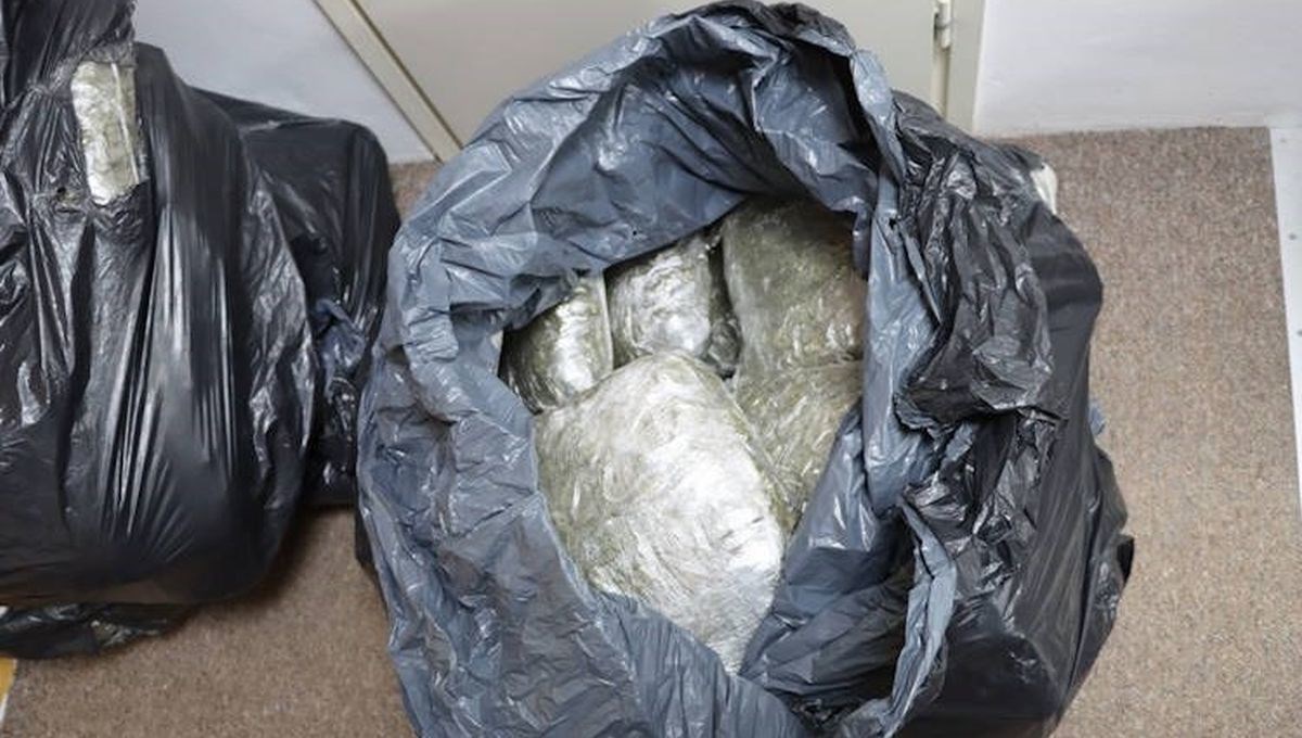 Diler u Zagrebu pao s više od 66.7 kilograma marihuane