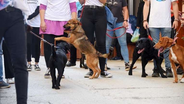 Pustili ste psa da trči sam, dali ga maloljetniku, huškate ga? Pula za to uvodi kazne