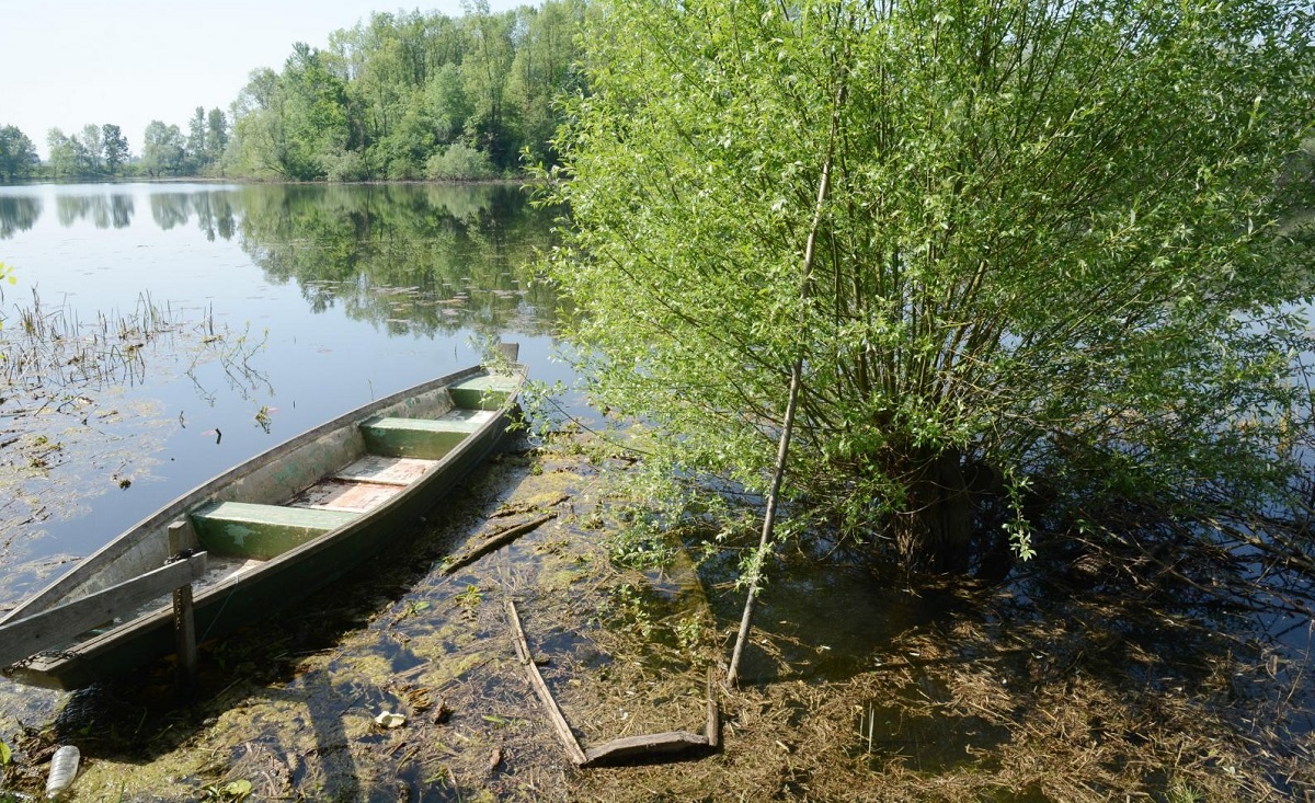 Ribokradica strujom lovio štuke i šarane u Lonjskom polju