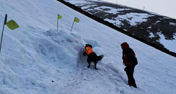 Kujica spasila čovjeka zatrpanog snijegom i pokazala da su psi naši spasitelji