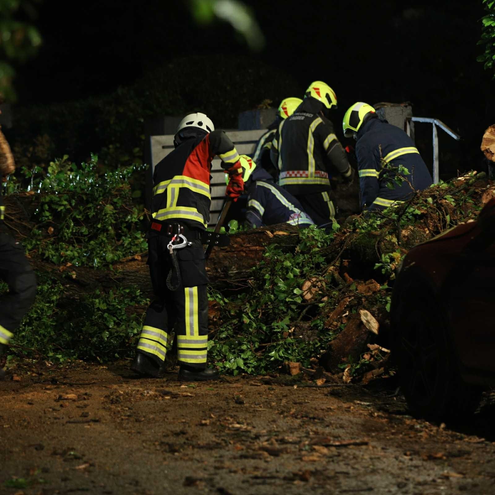 FOTO Ogromno drvo srušilo se na ulicu na zagrebačkom Britancu, oštećeni auti