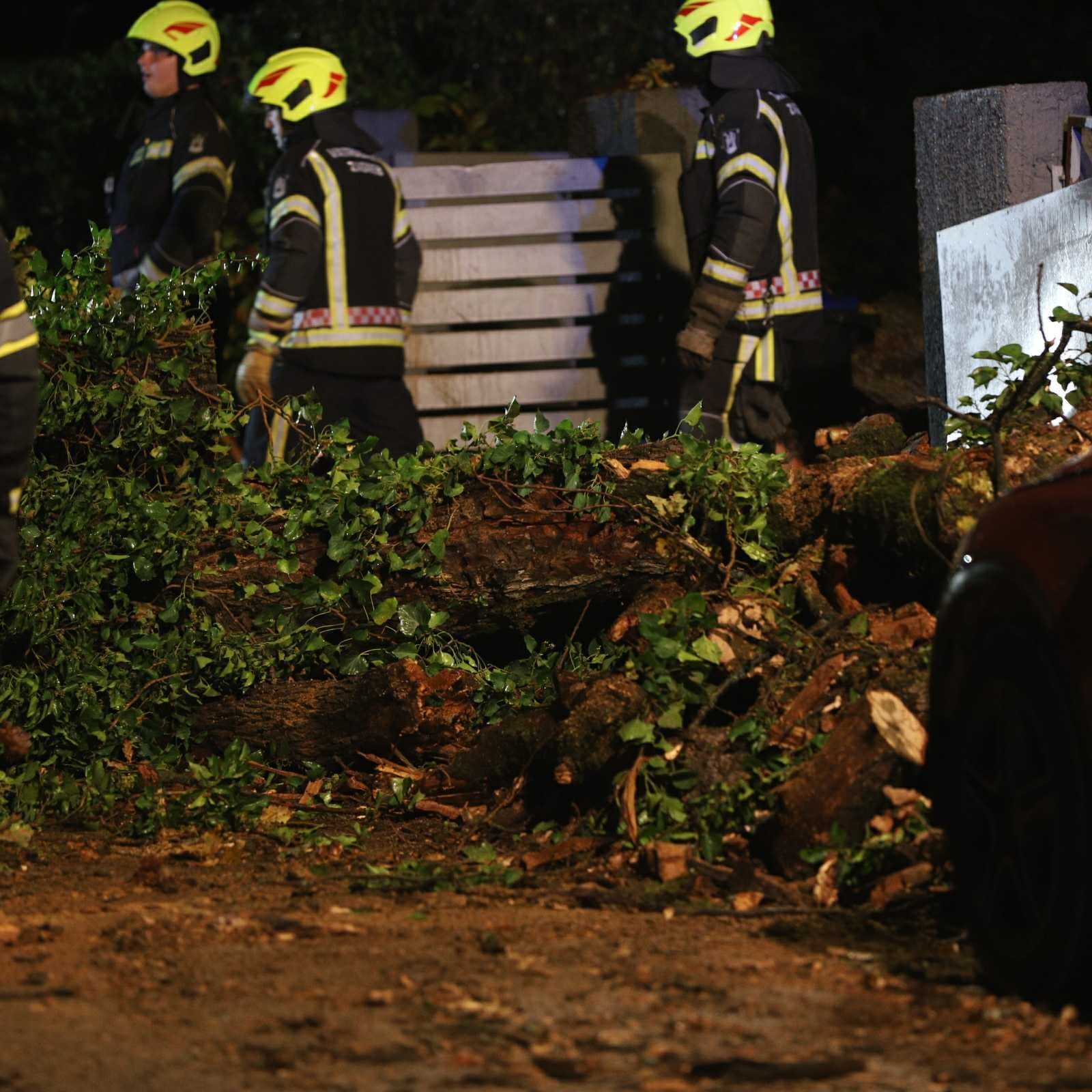 FOTO Ogromno drvo srušilo se na ulicu na zagrebačkom Britancu, oštećeni auti