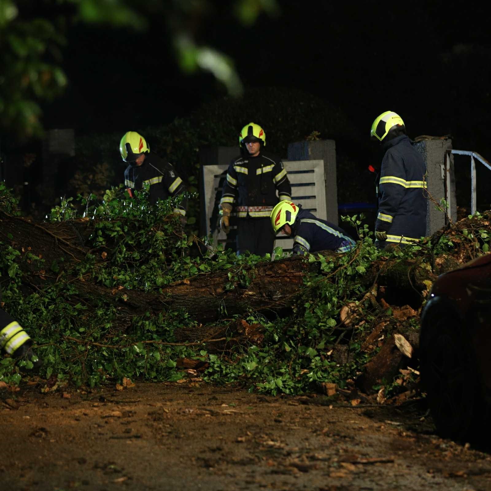FOTO Ogromno drvo srušilo se na ulicu na zagrebačkom Britancu, oštećeni auti