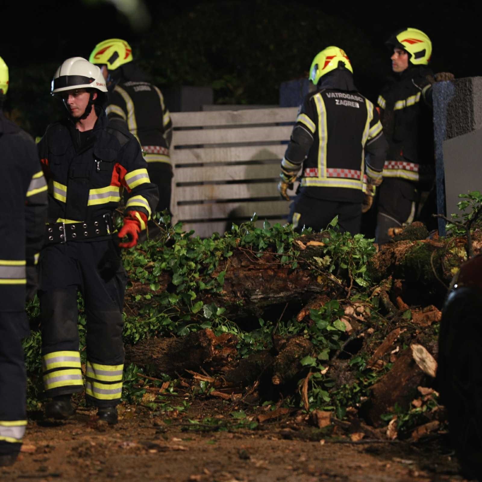 FOTO Ogromno drvo srušilo se na ulicu na zagrebačkom Britancu, oštećeni auti