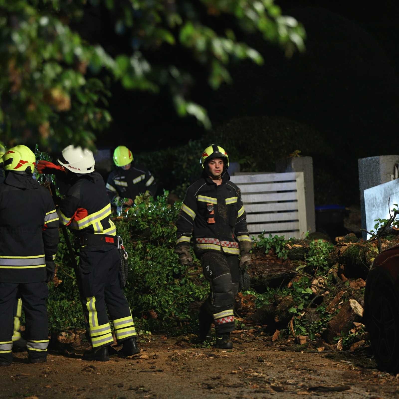 FOTO Ogromno drvo srušilo se na ulicu na zagrebačkom Britancu, oštećeni auti