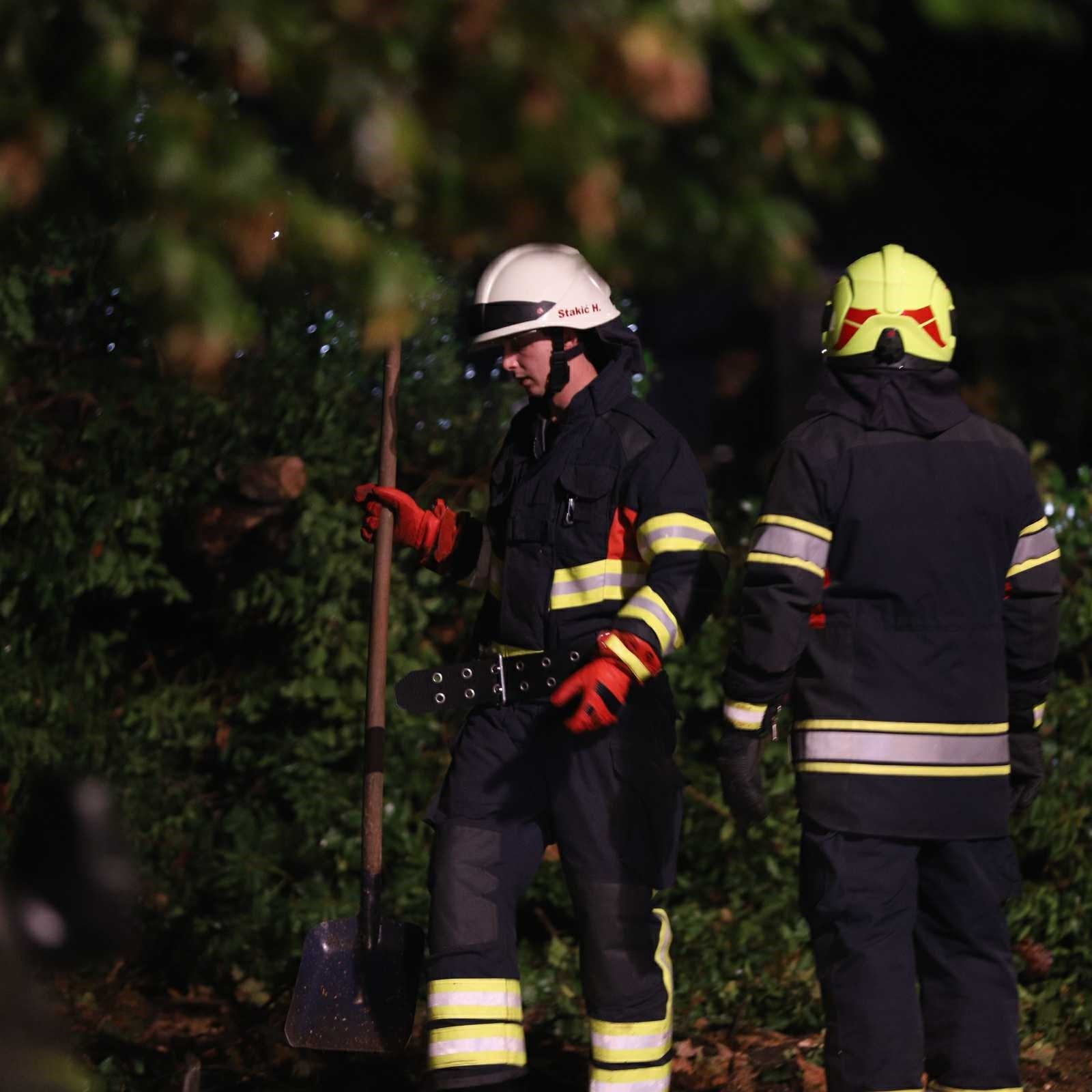 FOTO Ogromno drvo srušilo se na ulicu na zagrebačkom Britancu, oštećeni auti