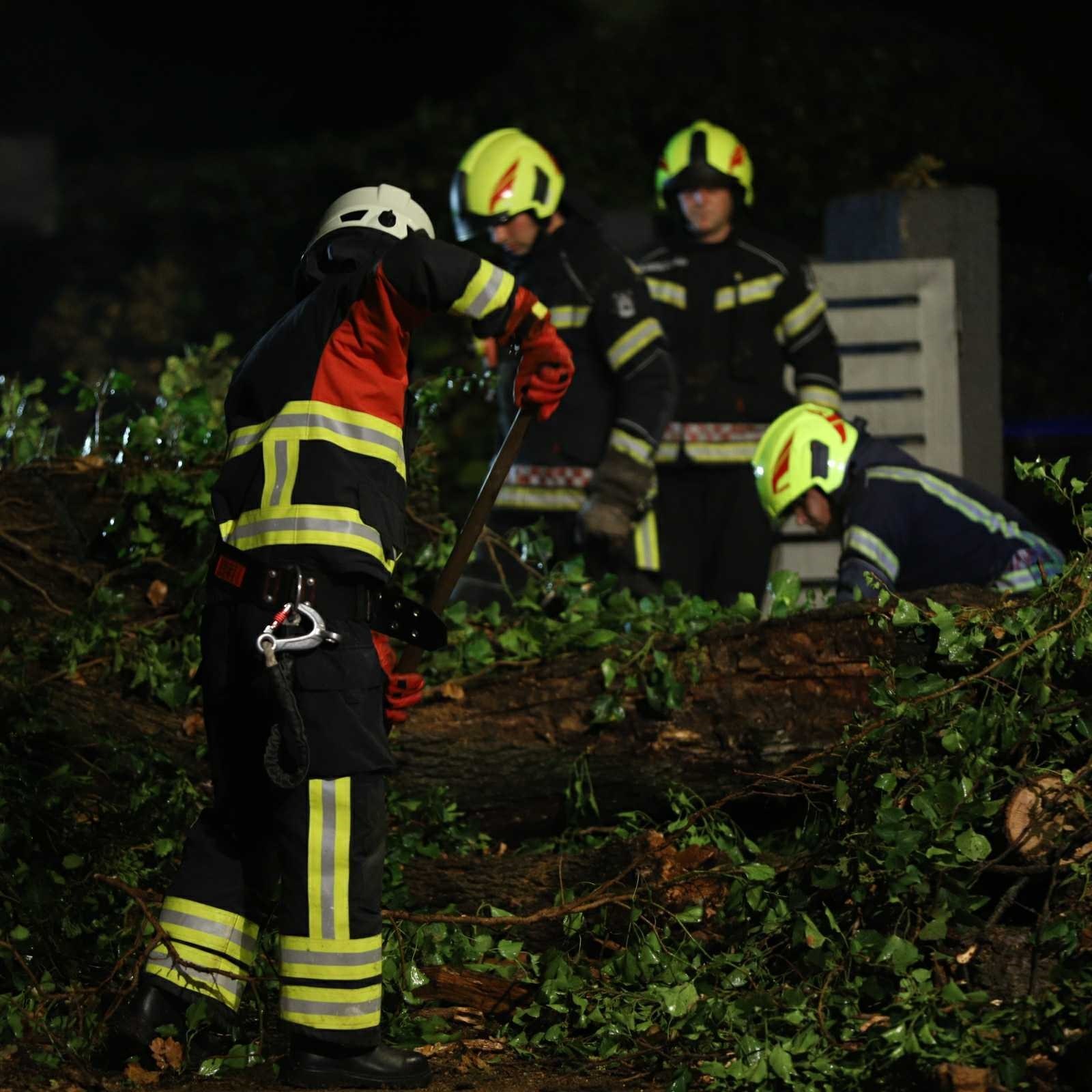 FOTO Ogromno drvo srušilo se na ulicu na zagrebačkom Britancu, oštećeni auti