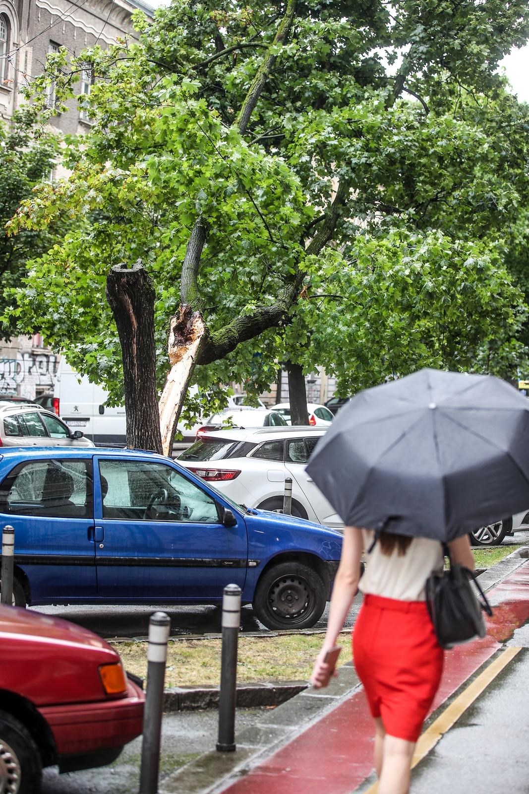 FOTO I VIDEO Snažno Nevrijeme U Zagrebu. Vjetar čupao Stabla, Prekinut ...