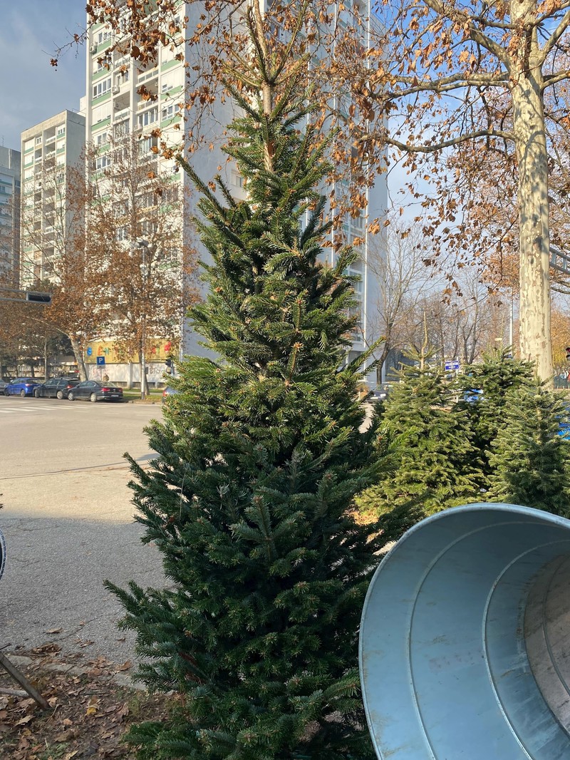Kod tržnice Dubrava