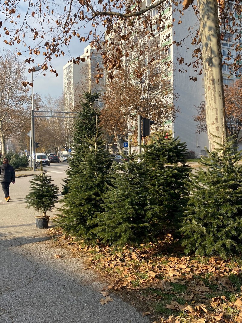 Kod tržnice Dubrava
