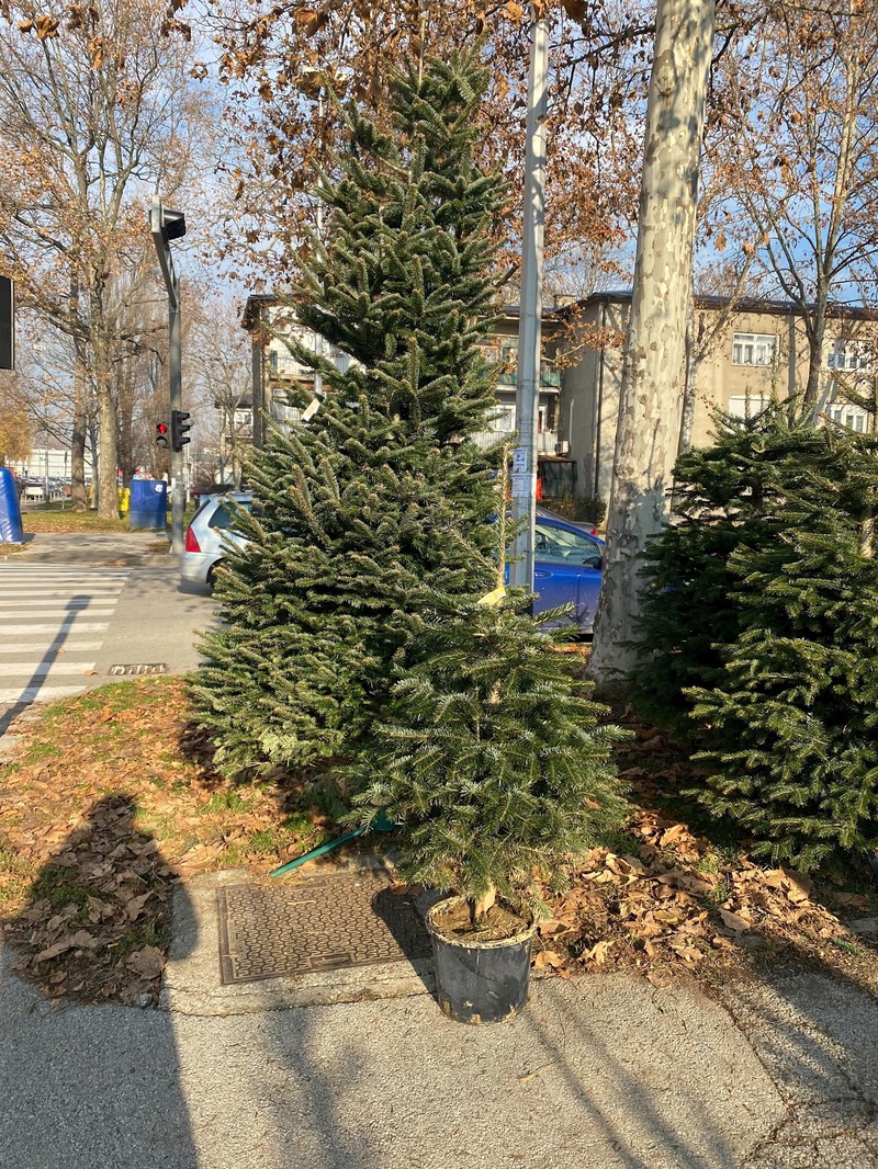 Kod tržnice Dubrava