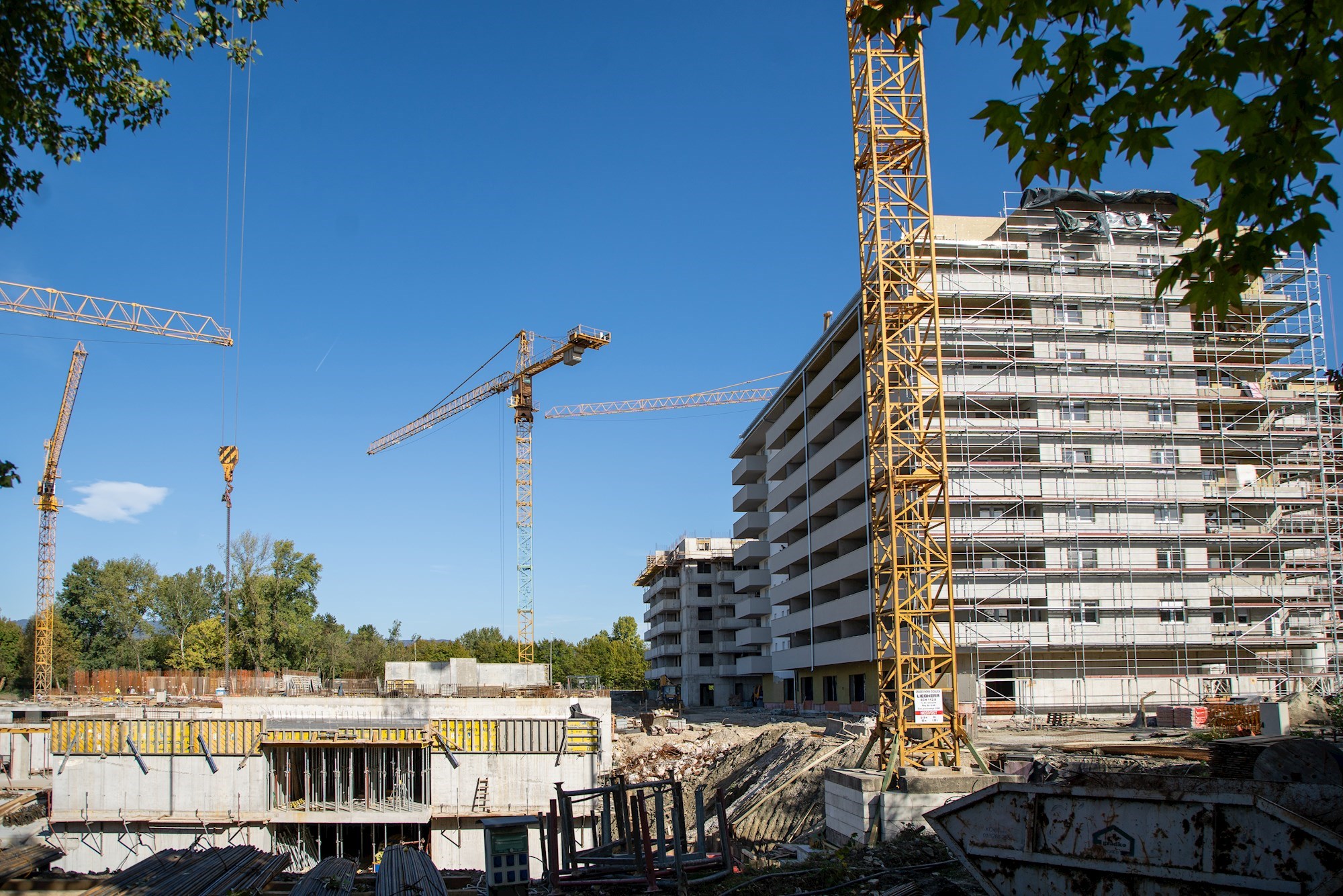 Borongaj, GIP Pionir