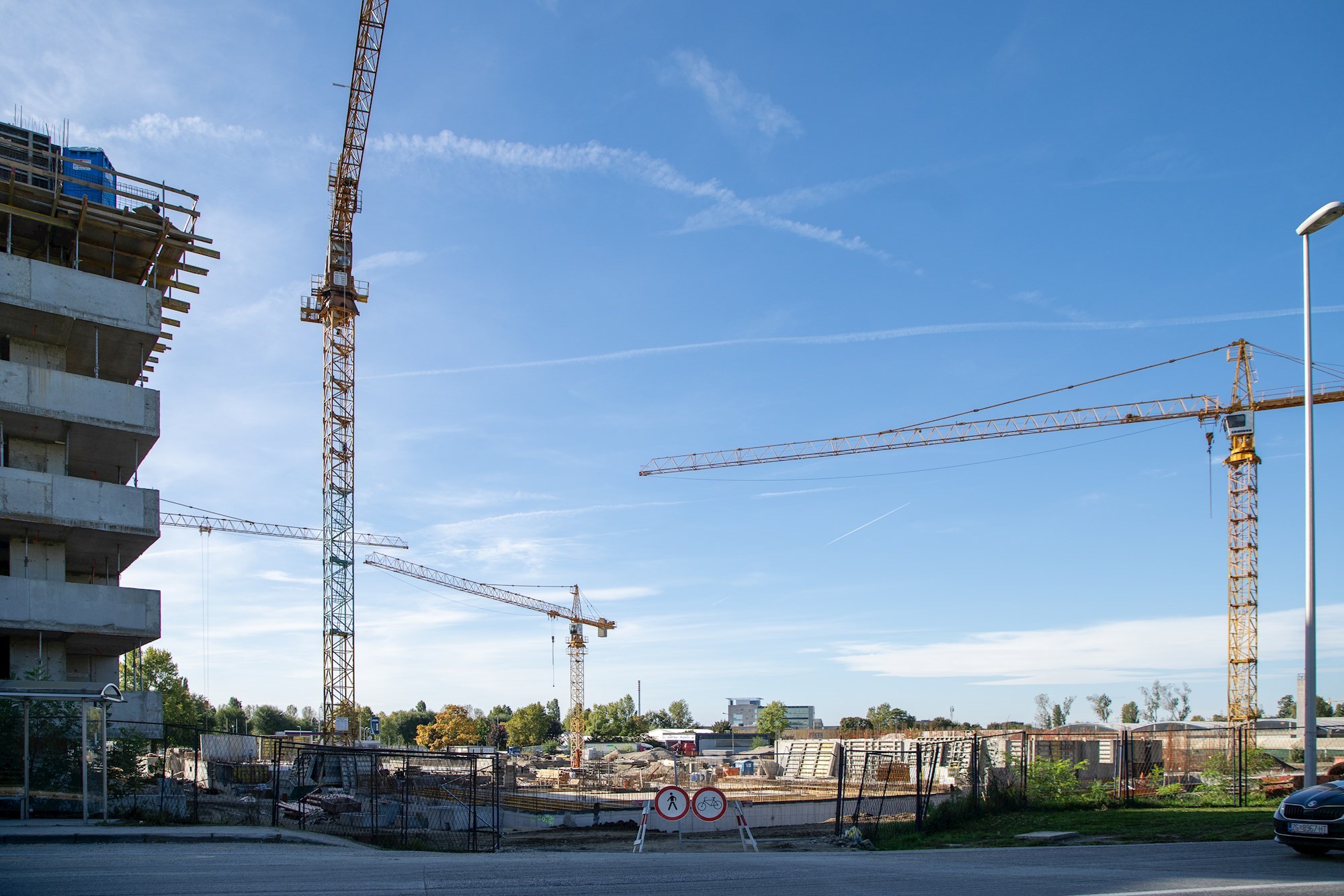 Borongaj, GIP Pionir